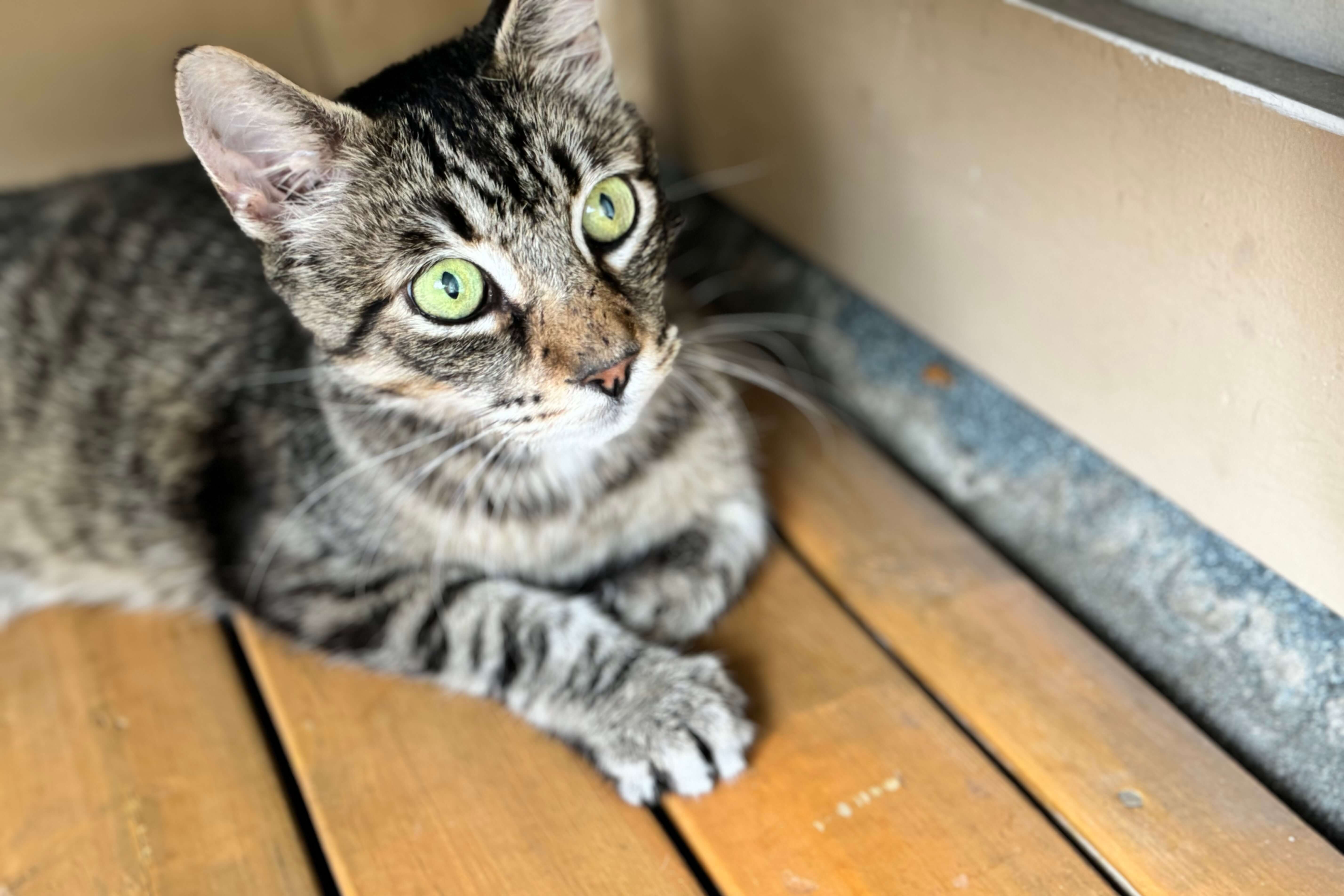 Pearl's story